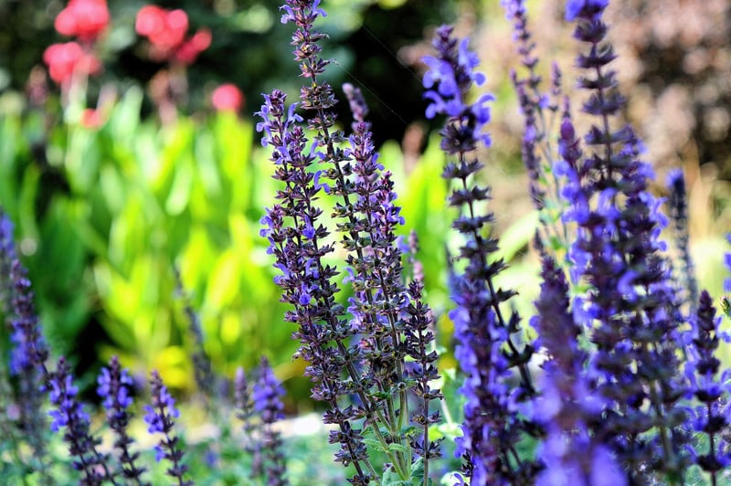 Hanging Herb Garden